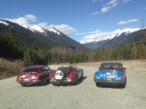 Shiraz  RIP and Blue B 